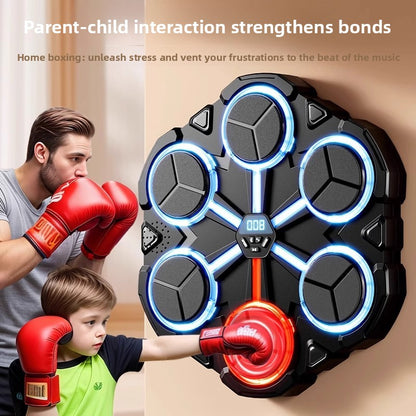 Boxing Training Target