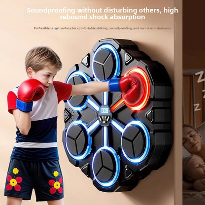 Boxing Training Target