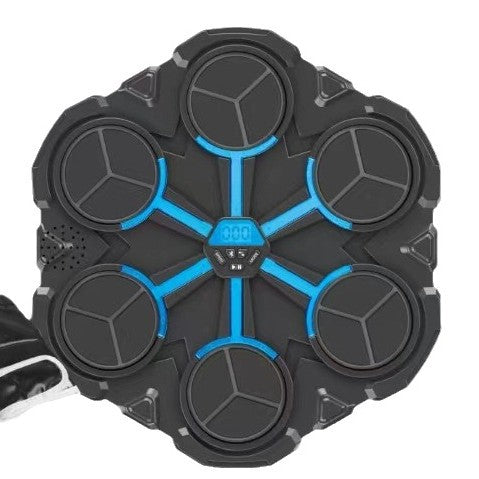 Boxing Training Target