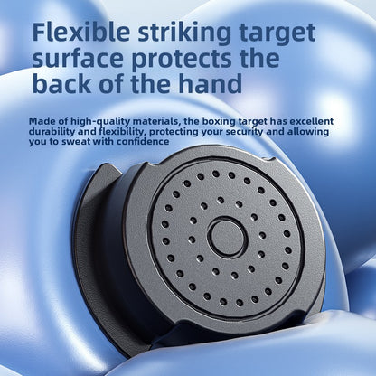 boxing training target