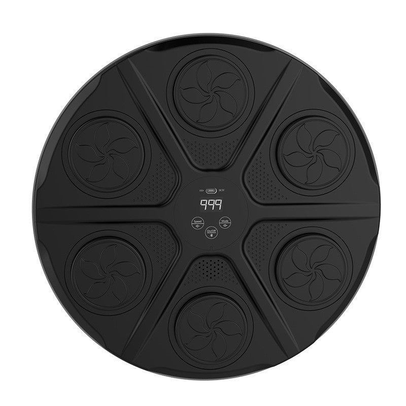 boxing training target