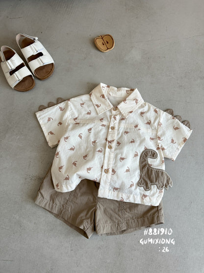 Boys Print Shirt and Shorts Set