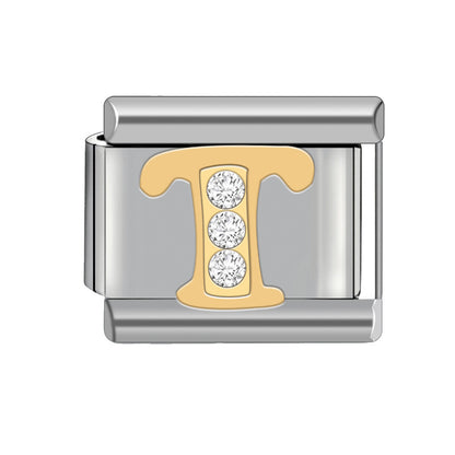 Bracelet module