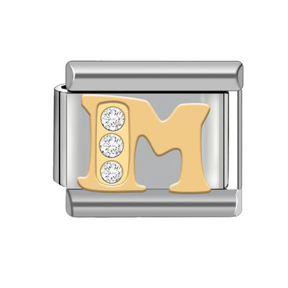 Bracelet module