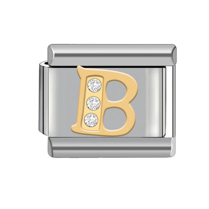 Bracelet module