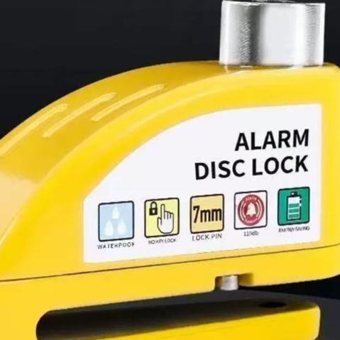 Brake disc lock