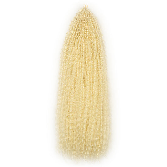 Brazilian Braid Synthetic Wig