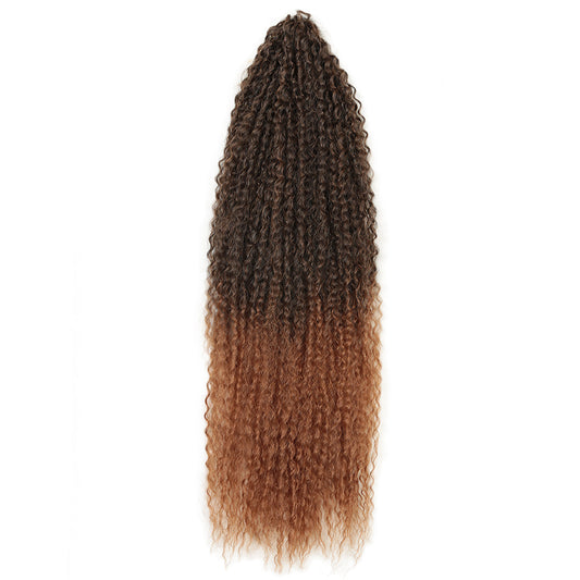 Brazilian Braid Synthetic Wig