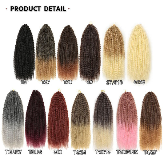 Brazilian Braid Synthetic Wig