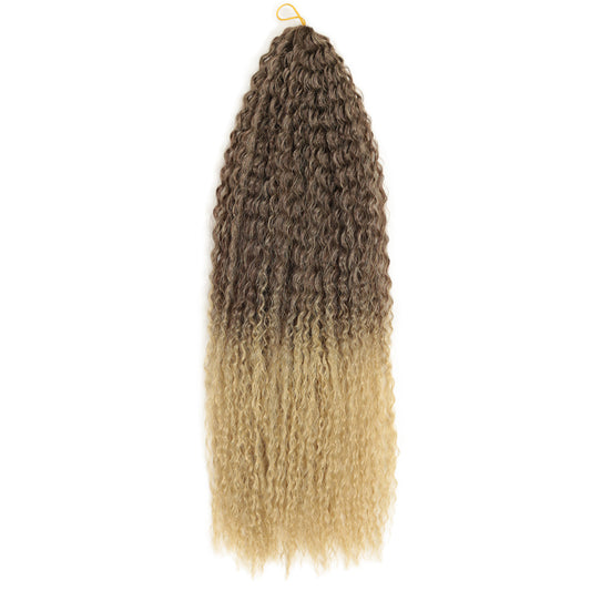 Brazilian Braid Synthetic Wig