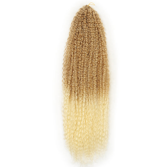 Brazilian Braid Synthetic Wig