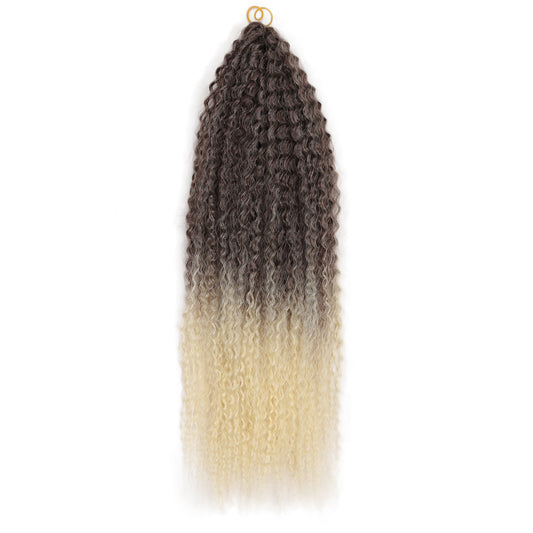 Brazilian Braid Synthetic Wig