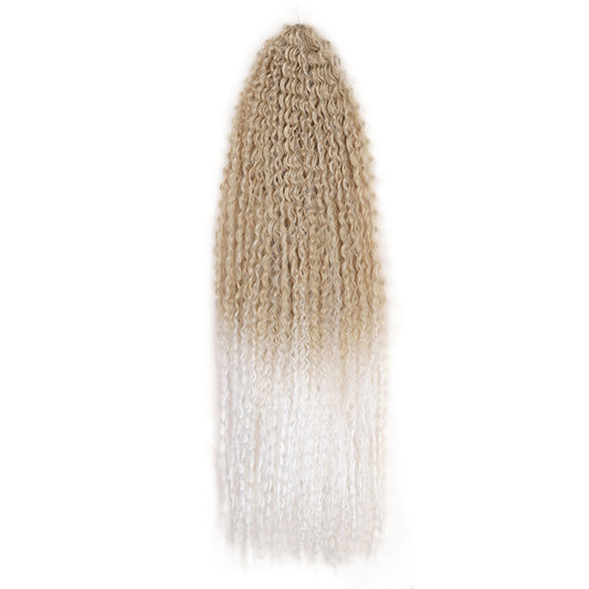 Brazilian Braid Synthetic Wig