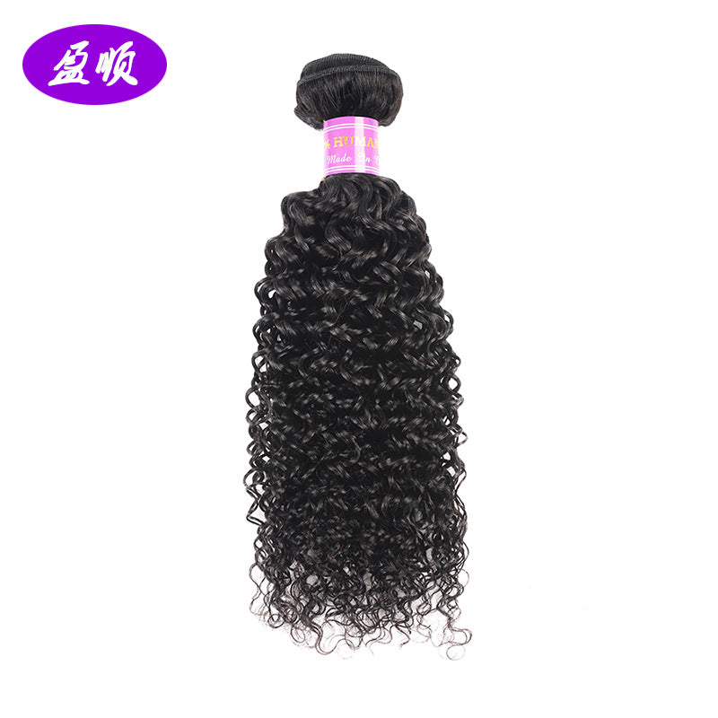 Brazilian Kinky Curly Human Hair Wig
