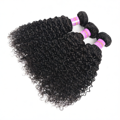 Brazilian Kinky Curly Human Hair Wig