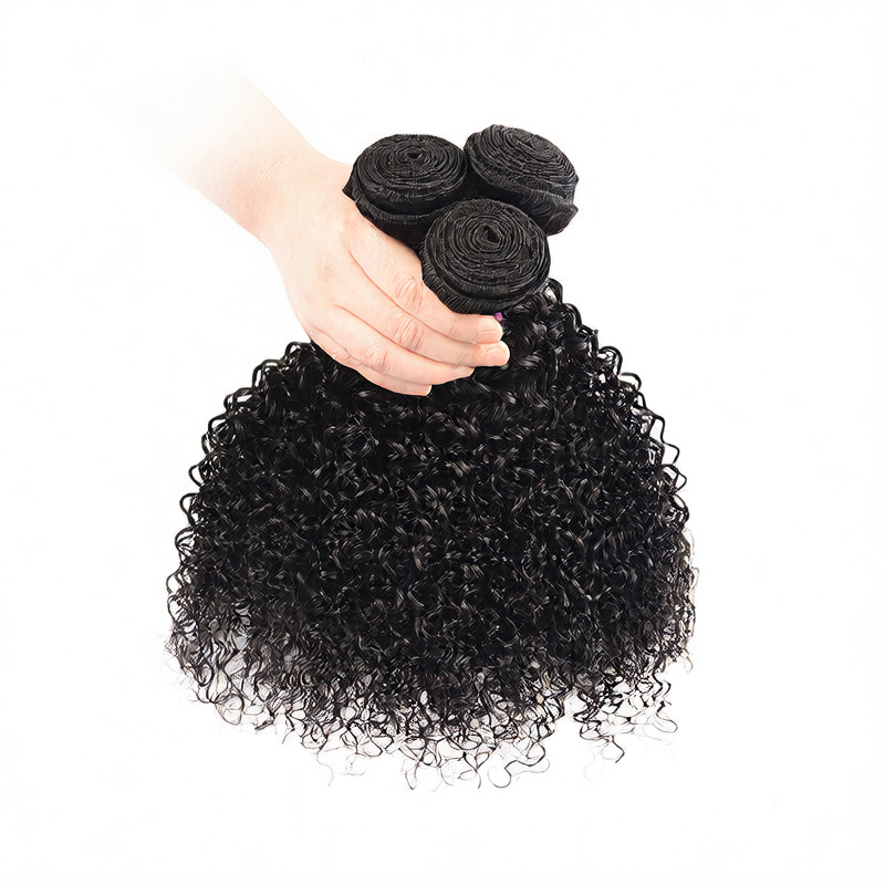 Brazilian Kinky Curly Human Hair Wig