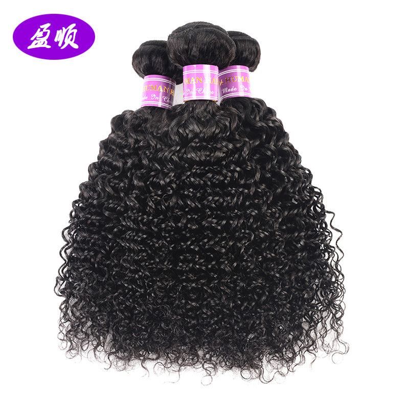Brazilian Kinky Curly Human Hair Wig