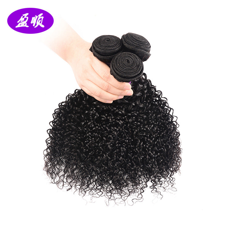 Brazilian Kinky Curly Human Hair Wig