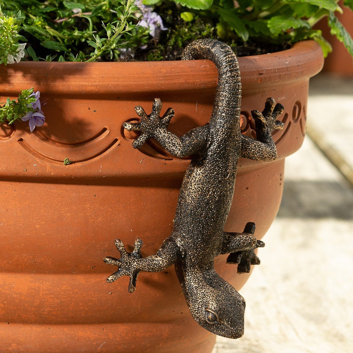 Bronze Gecko Plant Hanger