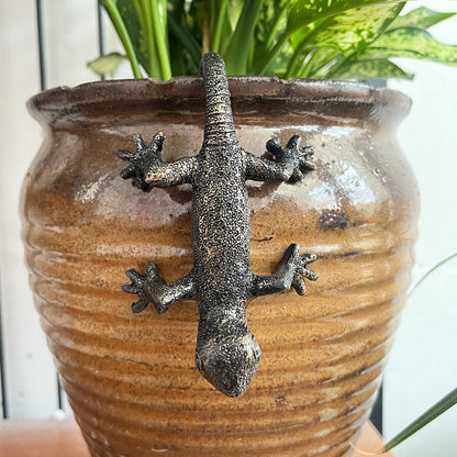 Bronze Gecko Plant Hanger