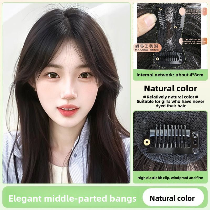 Brow hairpiece