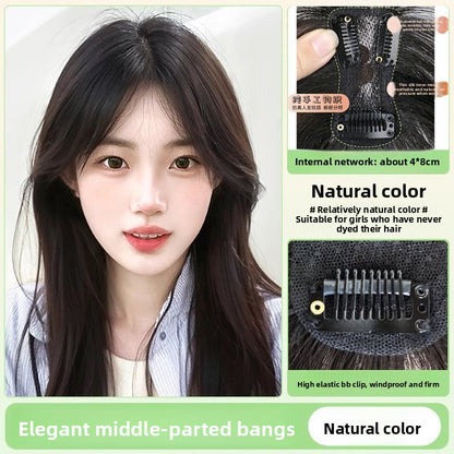 Brow hairpiece