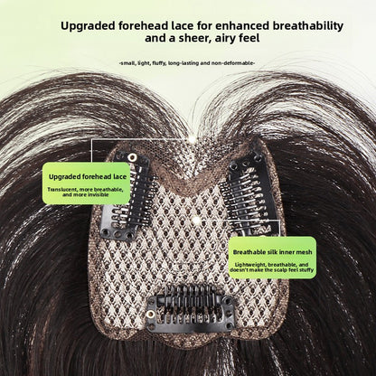 Brow hairpiece