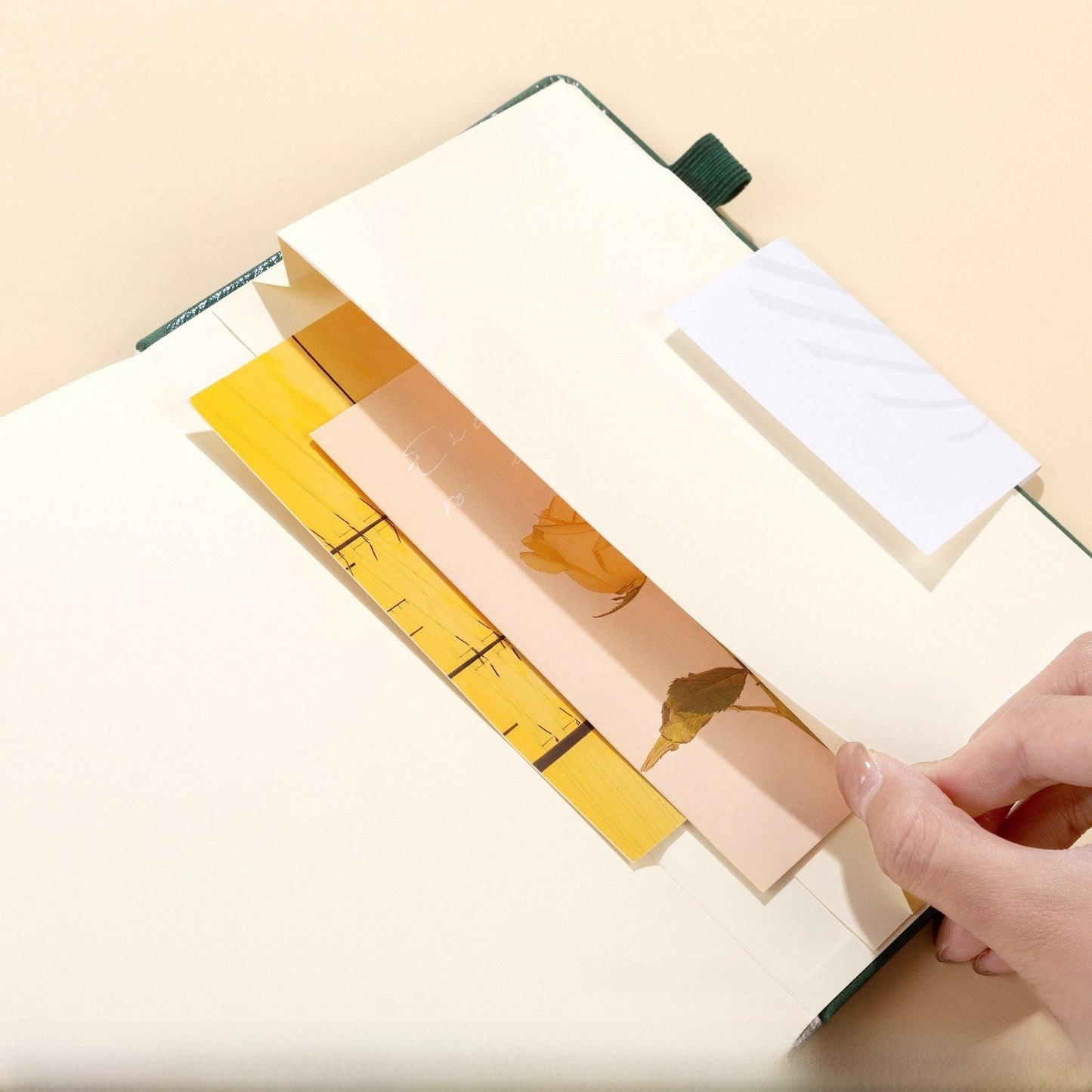 Budget notebook