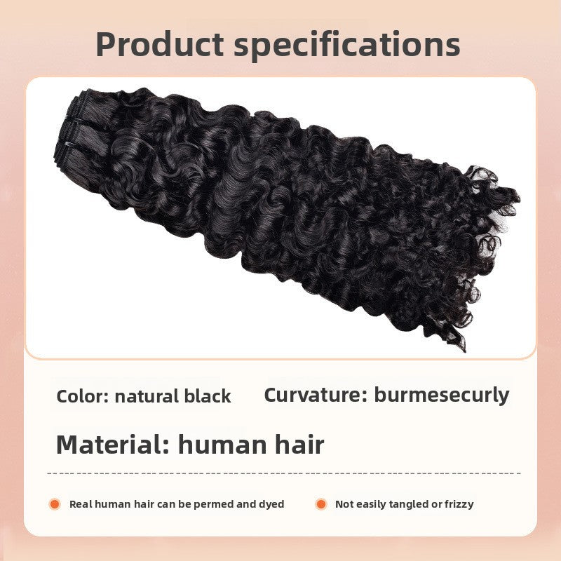 Burmese Curly Human Hair Wig