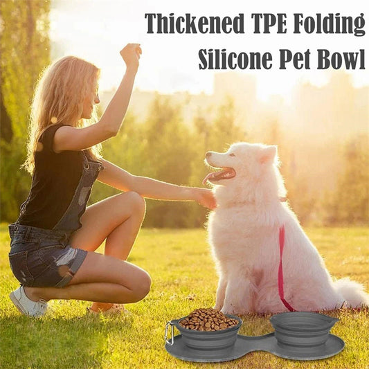 Buy Travel-Friendly Foldable Double Pet Bowl for Dogs & Cats