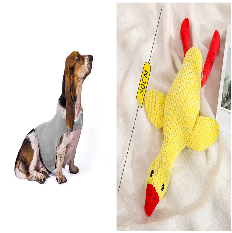 Buy Anxiety Jacket Vest for Dogs & Cats | Calming Comfort Wear