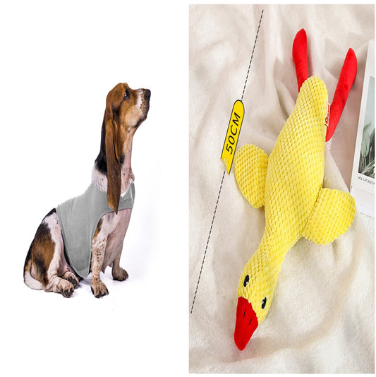 Buy Anxiety Jacket Vest for Dogs & Cats | Calming Comfort Wear
