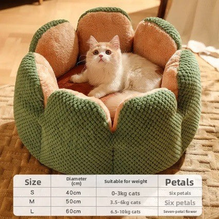 Cactus Cat Nest