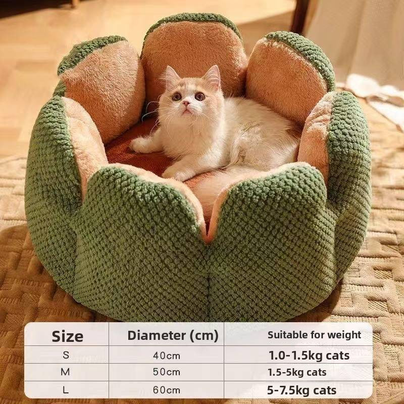Cactus Cat Nest
