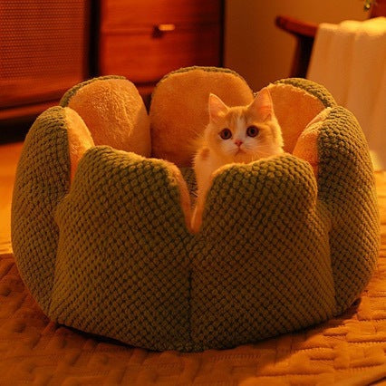 Cactus Cat Nest