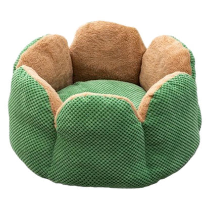 Cactus Cat Nest
