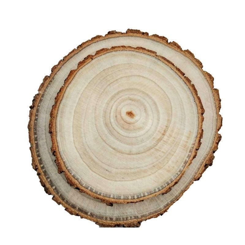 Camphor Wood Slices for DIY Art Projects