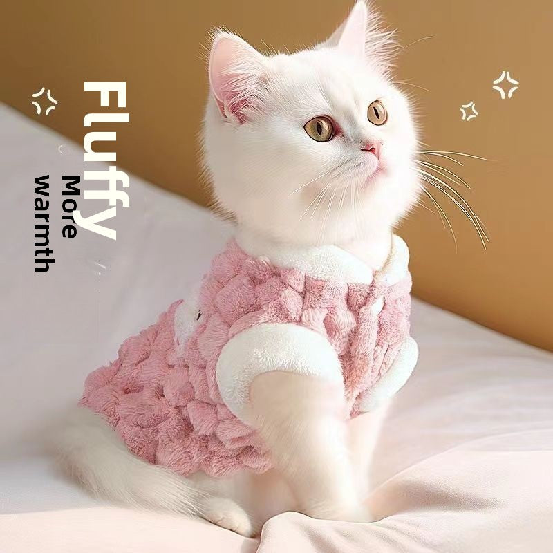 Can be used to warm up pet clothes