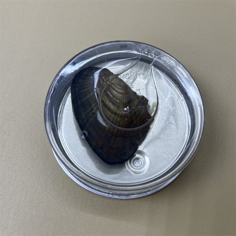 Canned Freshwater Pearl Clam