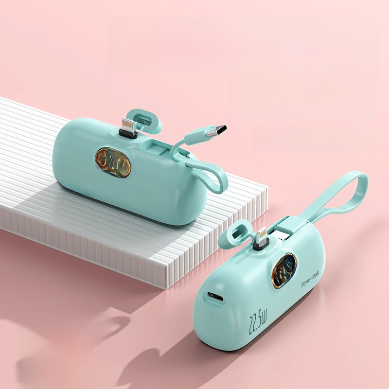 Capsule power bank