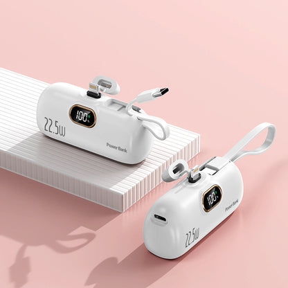 Capsule power bank