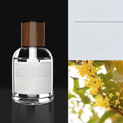 Car air freshener