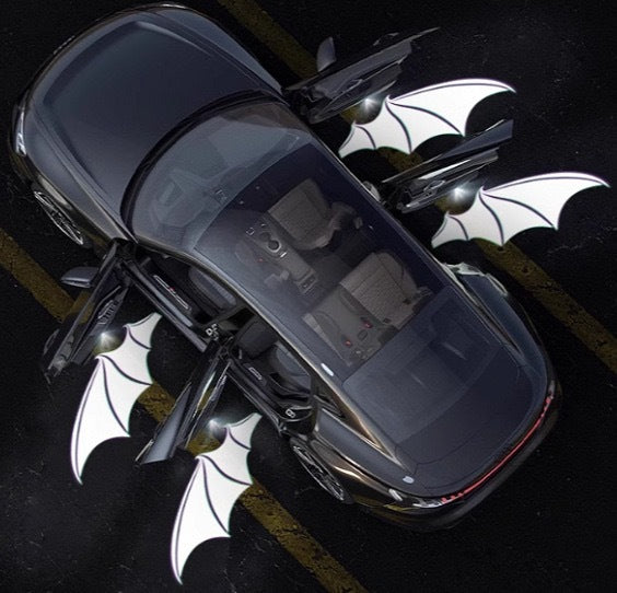 Car door projection lights
