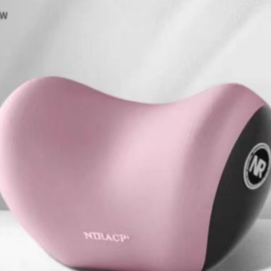 Car Headrest Lumbar Support