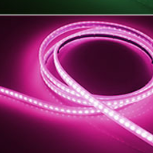 Car Hood Light