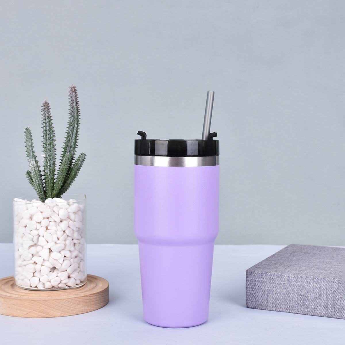 Car Mount Insulated Straw Cup