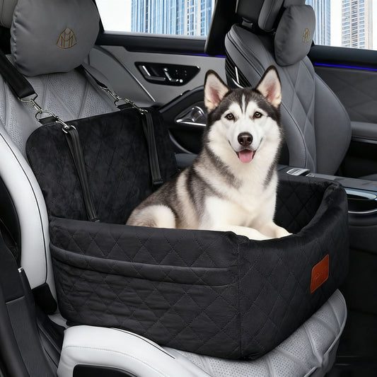 Car-mounted dog house