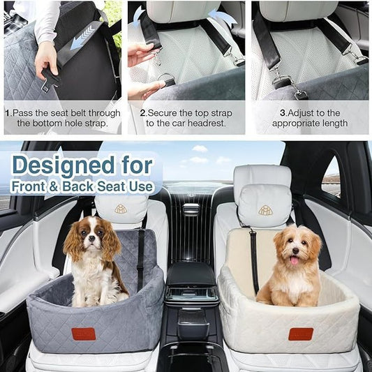 Car-mounted dog house