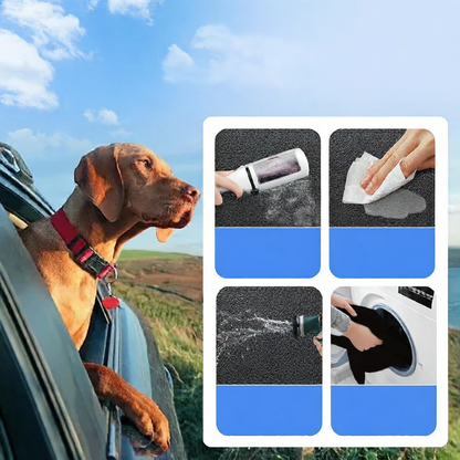 Car-mounted pet pad