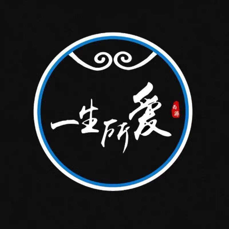 Car Welcome Light